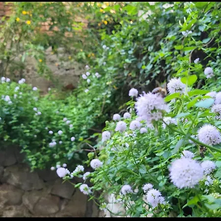 アパート Udobni Smestaj *